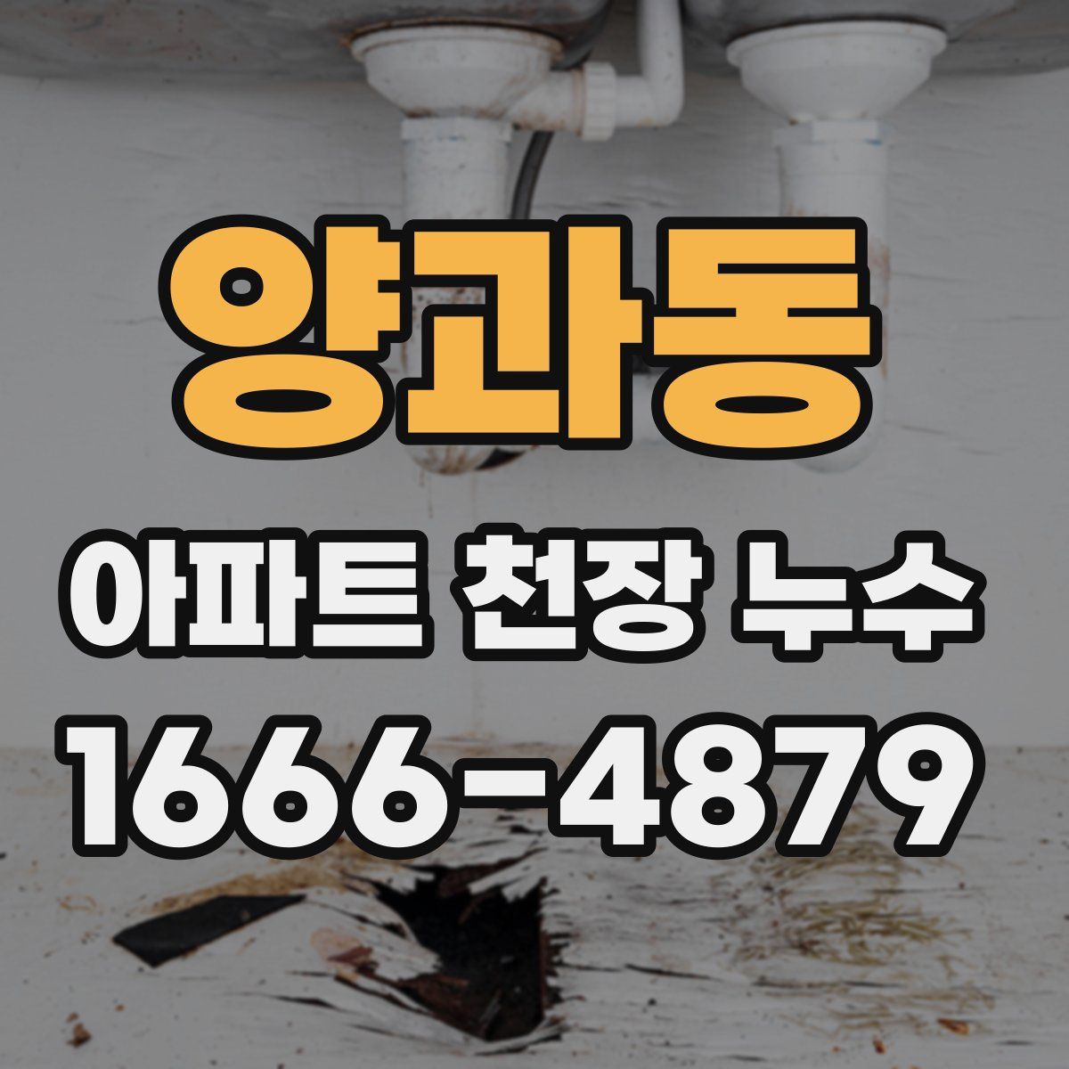 양과동 아파트 천장 누수