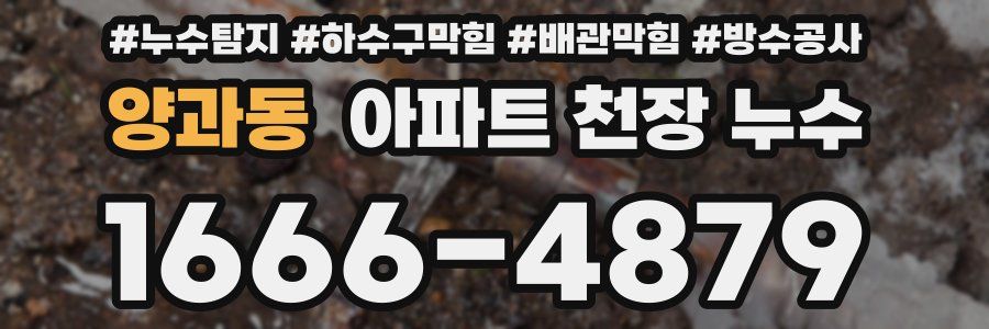 양과동 아파트 천장 누수