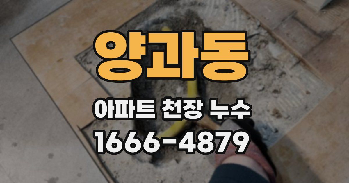 양과동 아파트 천장 누수