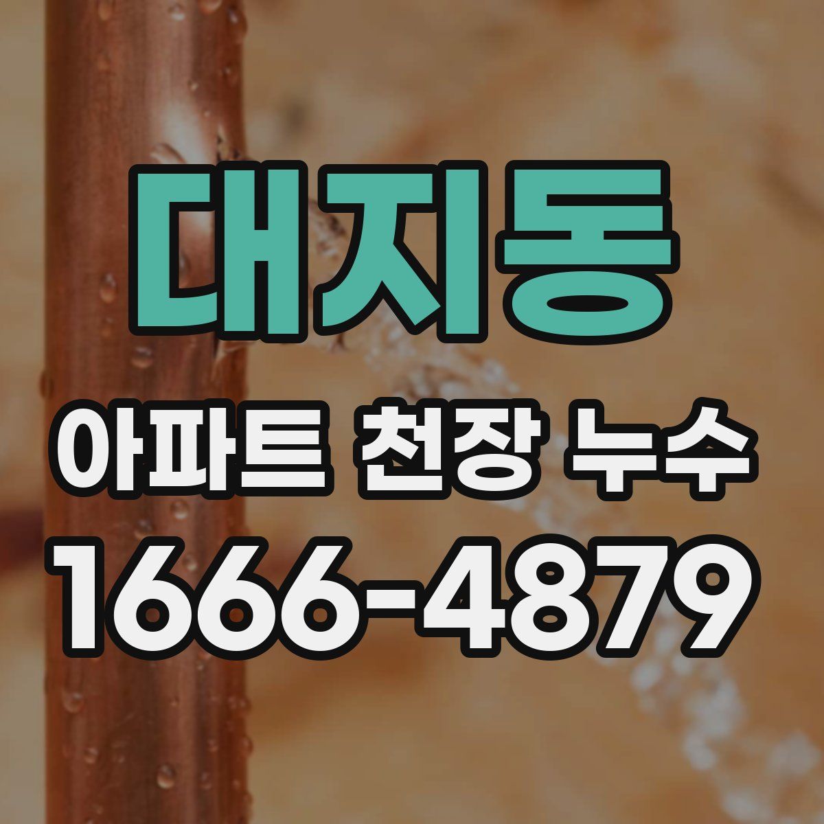 대지동 아파트 천장 누수