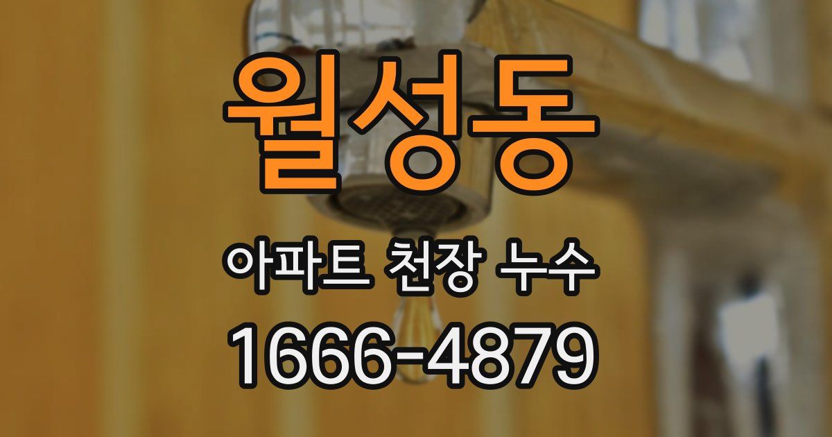 월성동 아파트 천장 누수