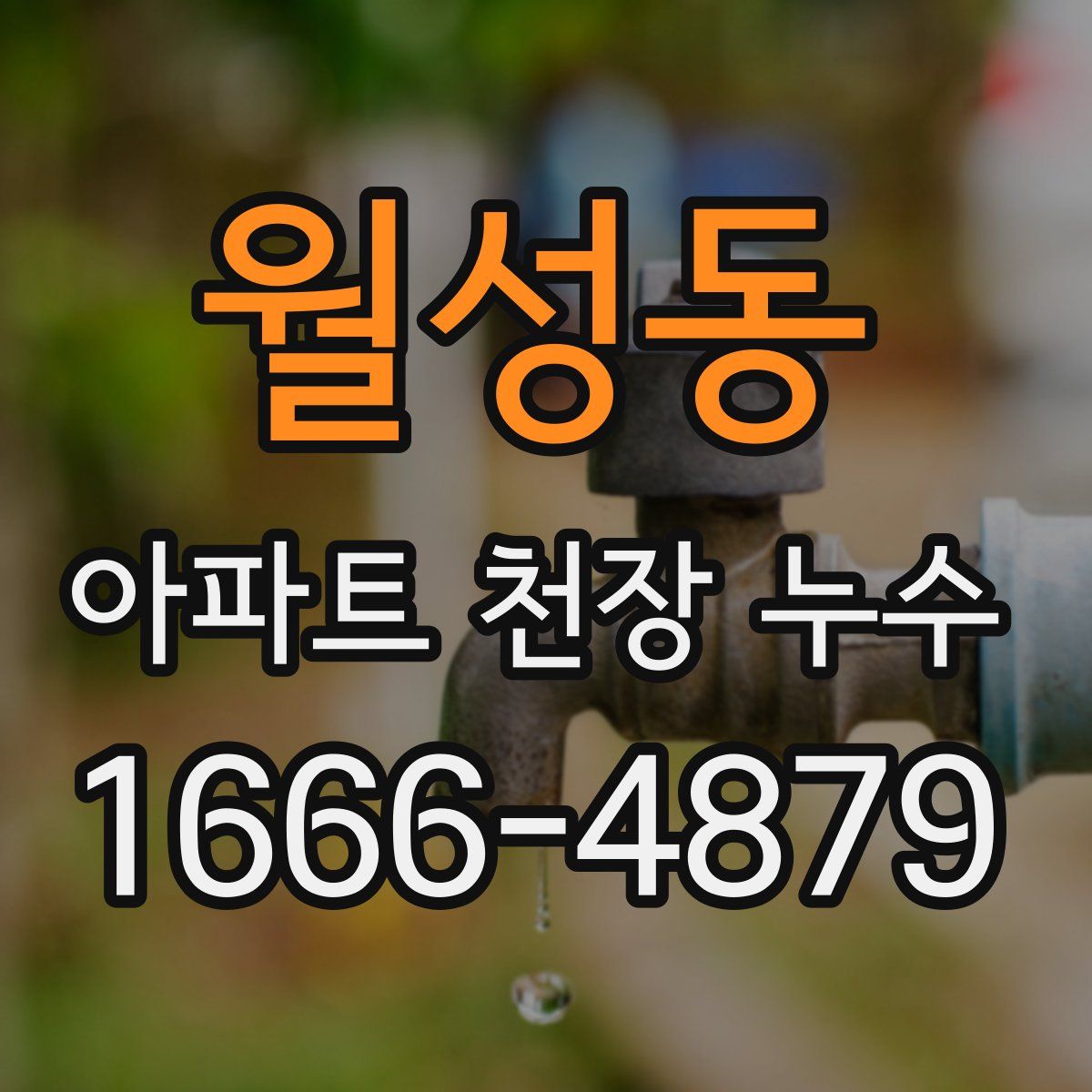 월성동 아파트 천장 누수