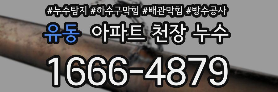 유동 아파트 천장 누수