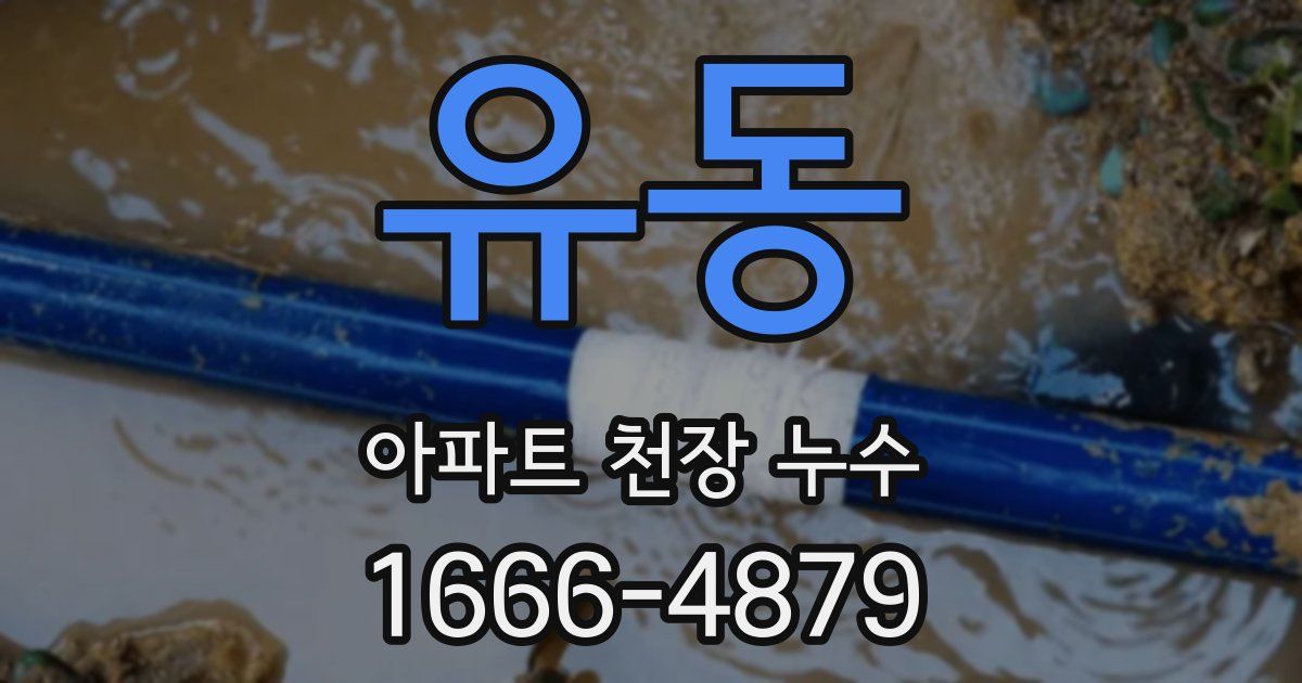 유동 아파트 천장 누수