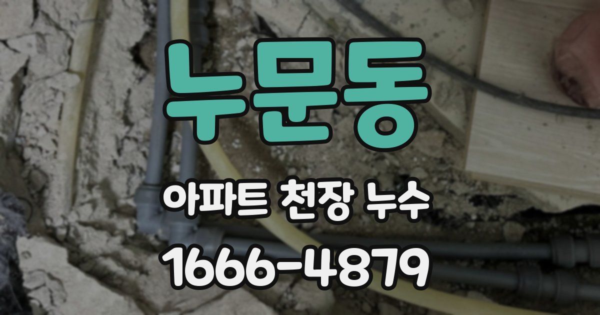 누문동 아파트 천장 누수