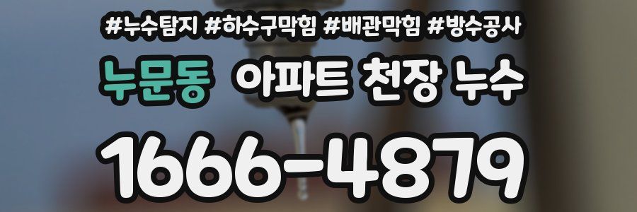 누문동 아파트 천장 누수