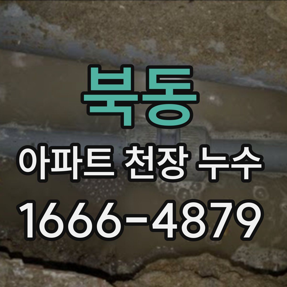 북동 아파트 천장 누수