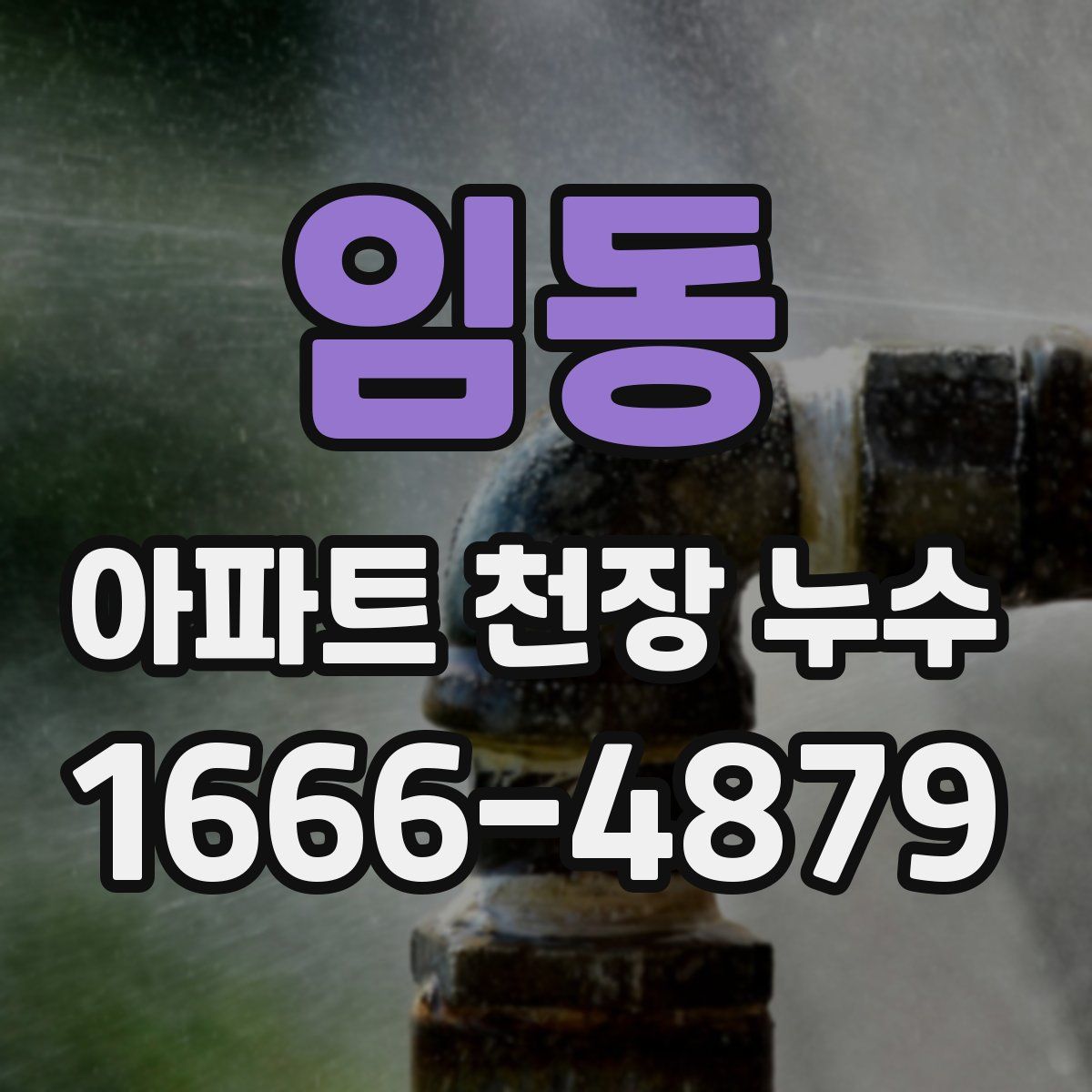 임동 아파트 천장 누수