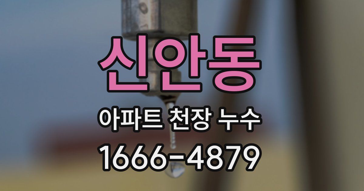 신안동 아파트 천장 누수
