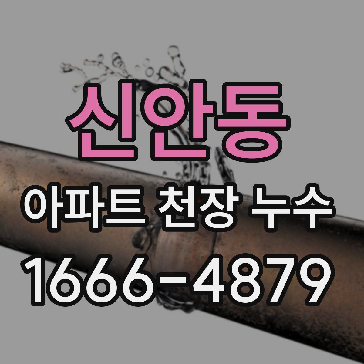 신안동 아파트 천장 누수