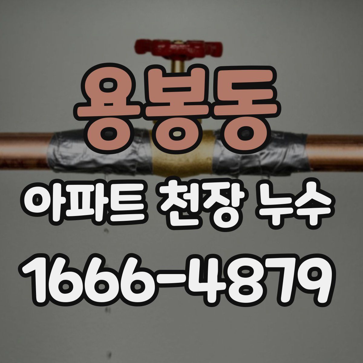 용봉동 아파트 천장 누수