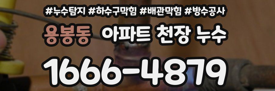 용봉동 아파트 천장 누수