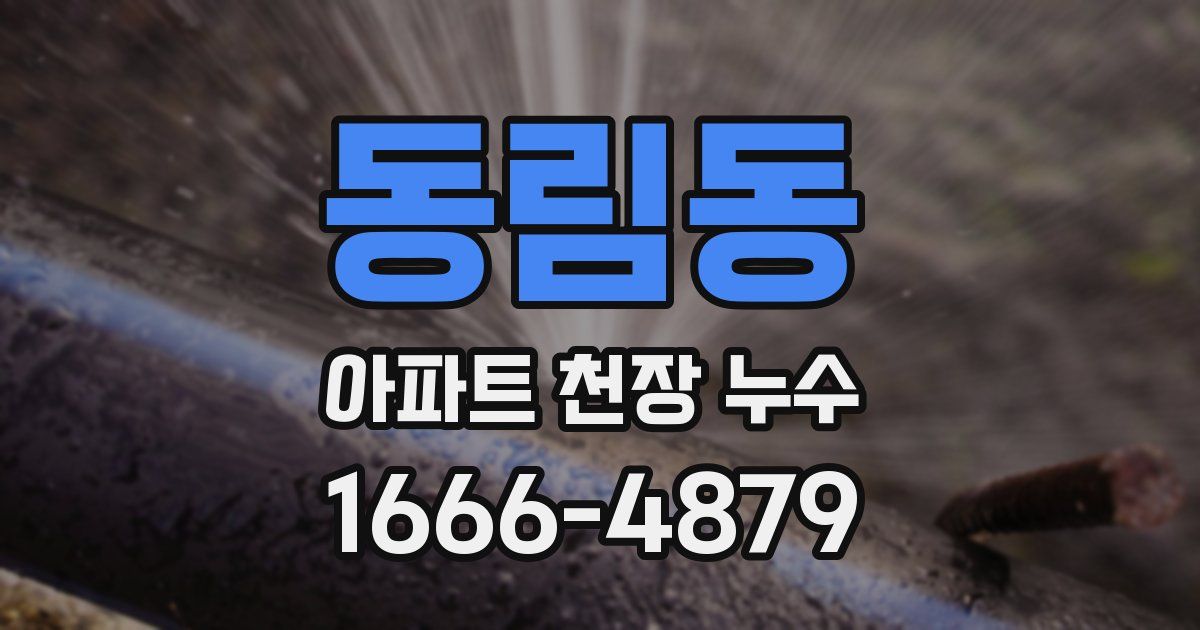 동림동 아파트 천장 누수