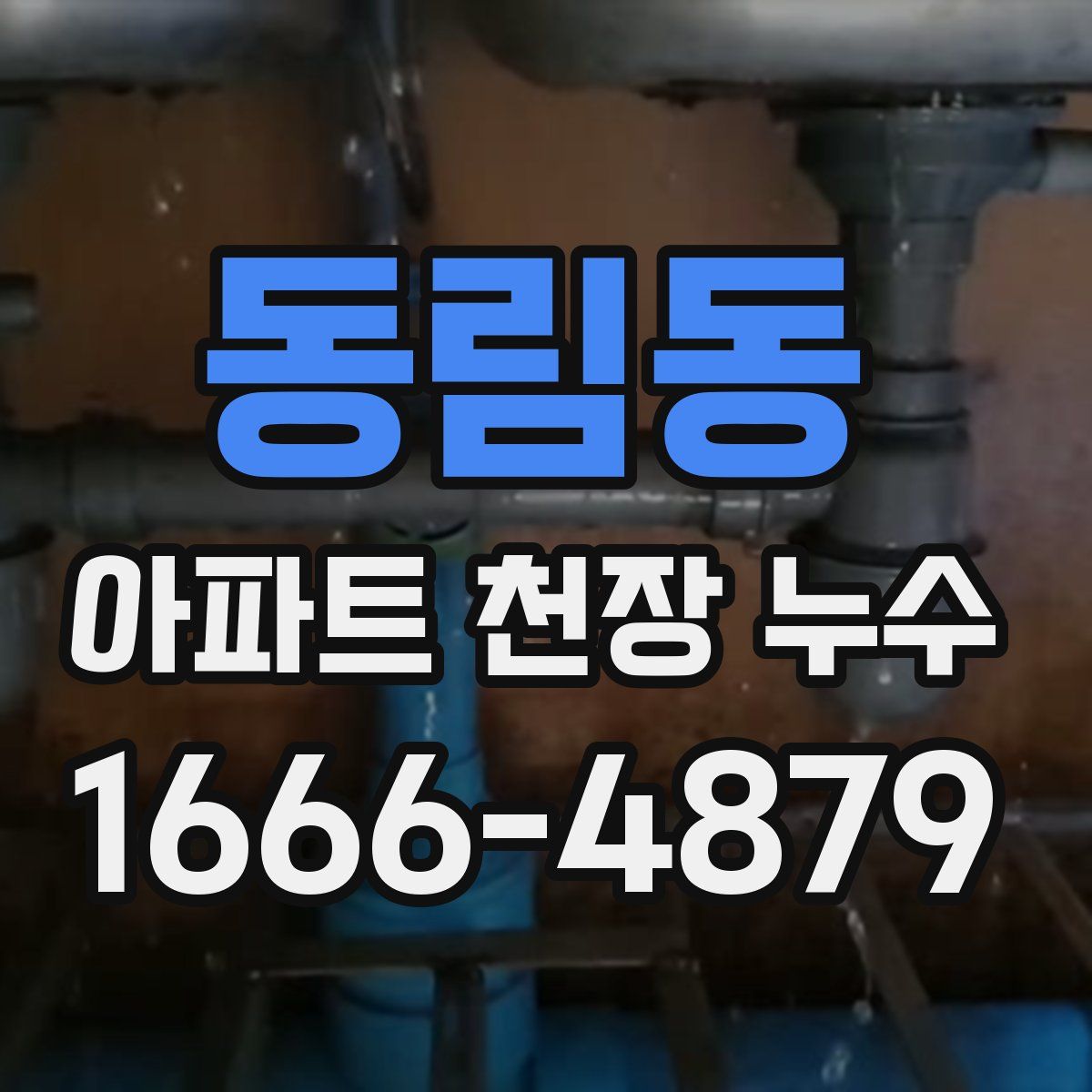동림동 아파트 천장 누수