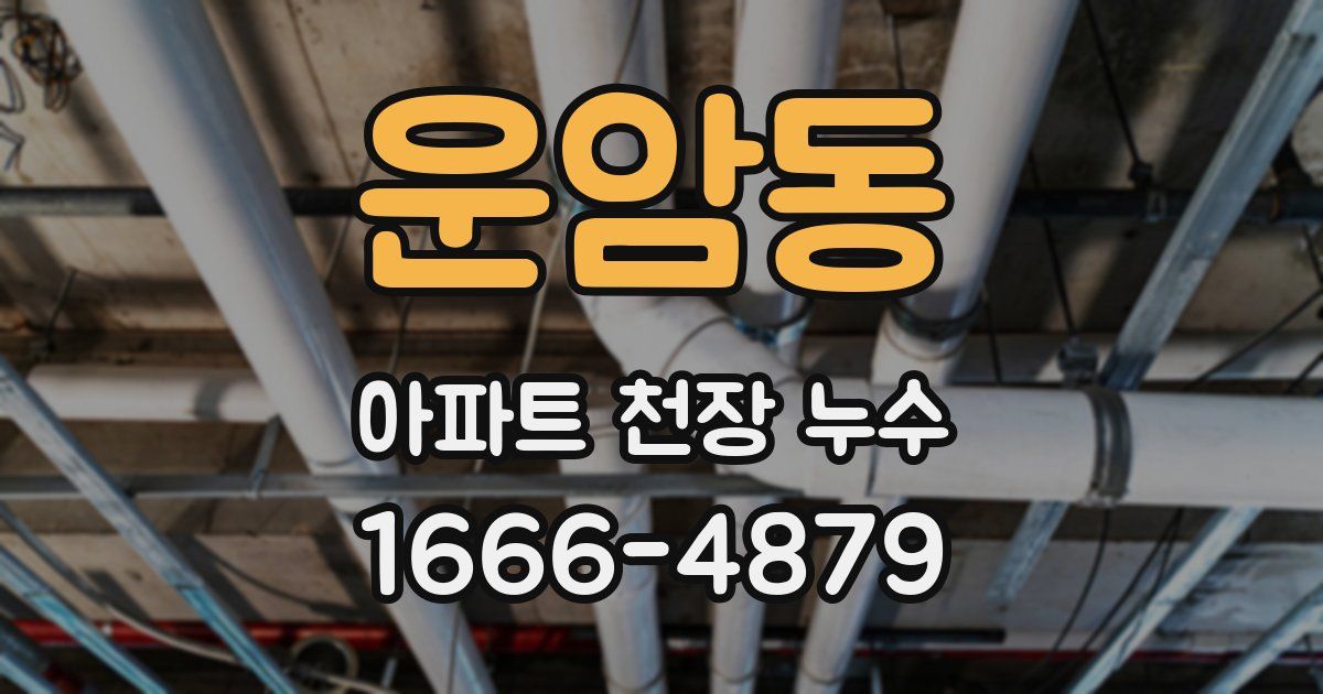 운암동 아파트 천장 누수