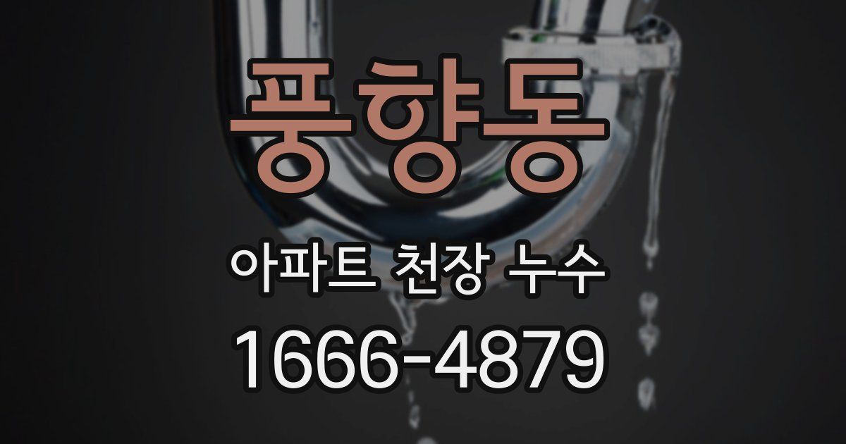 풍향동 아파트 천장 누수
