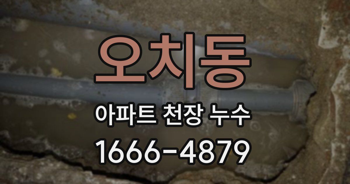 오치동 아파트 천장 누수
