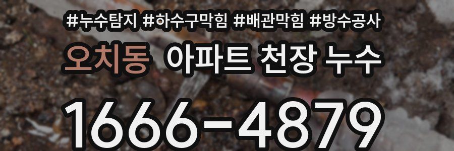 오치동 아파트 천장 누수