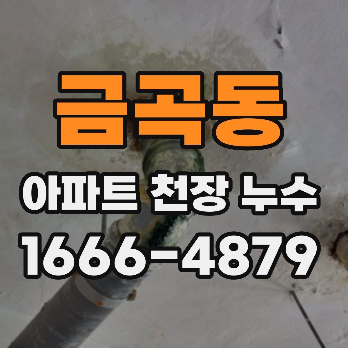 금곡동 아파트 천장 누수