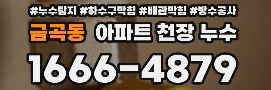 금곡동 아파트 천장 누수