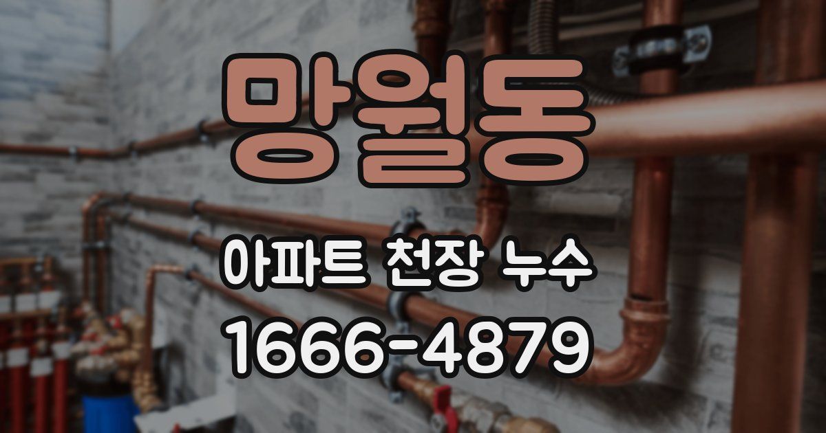 망월동 아파트 천장 누수