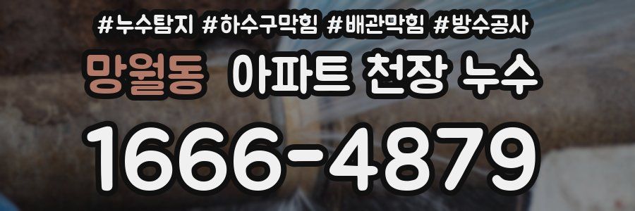 망월동 아파트 천장 누수