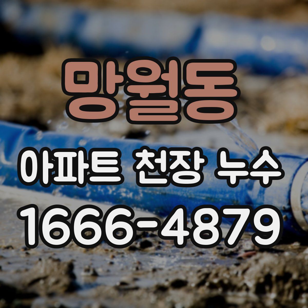 망월동 아파트 천장 누수