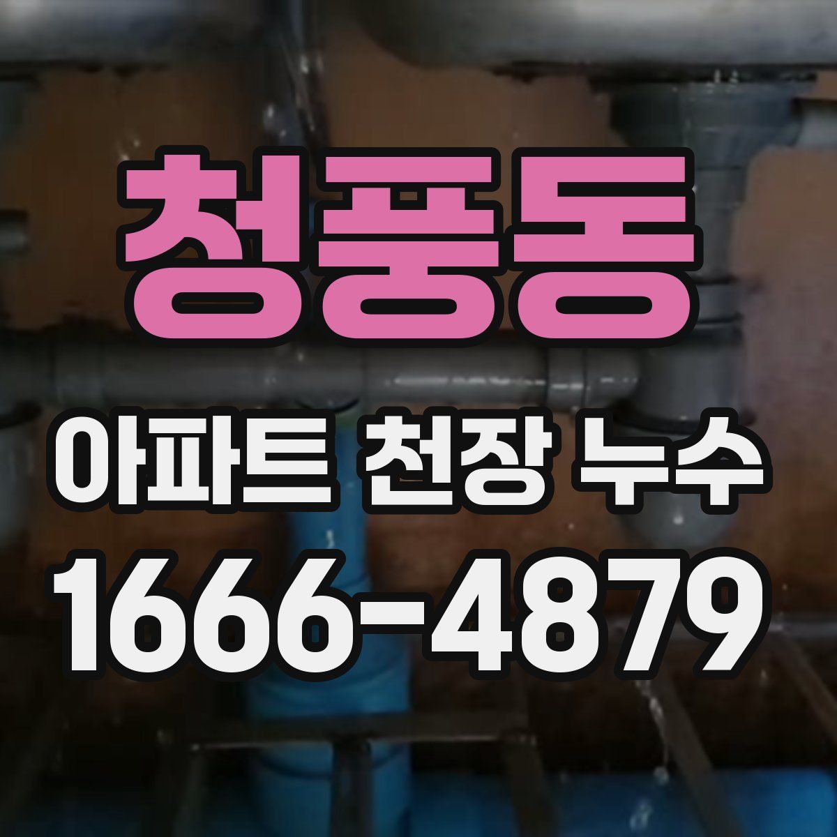 청풍동 아파트 천장 누수