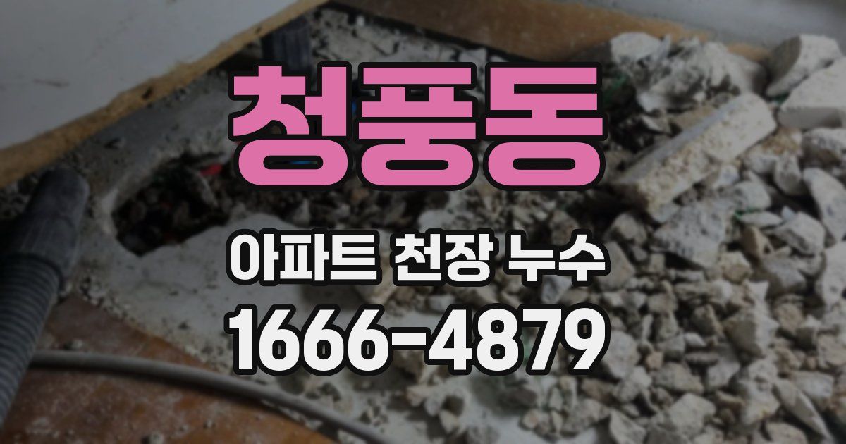 청풍동 아파트 천장 누수