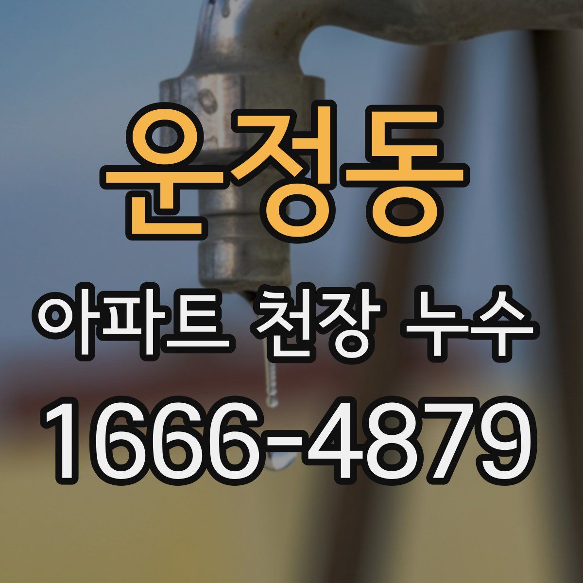 운정동 아파트 천장 누수