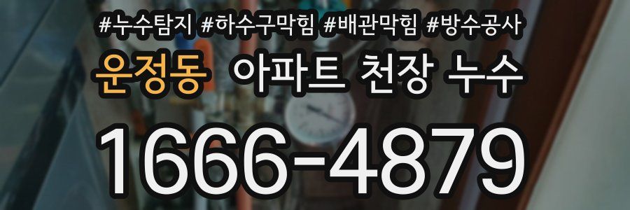 운정동 아파트 천장 누수