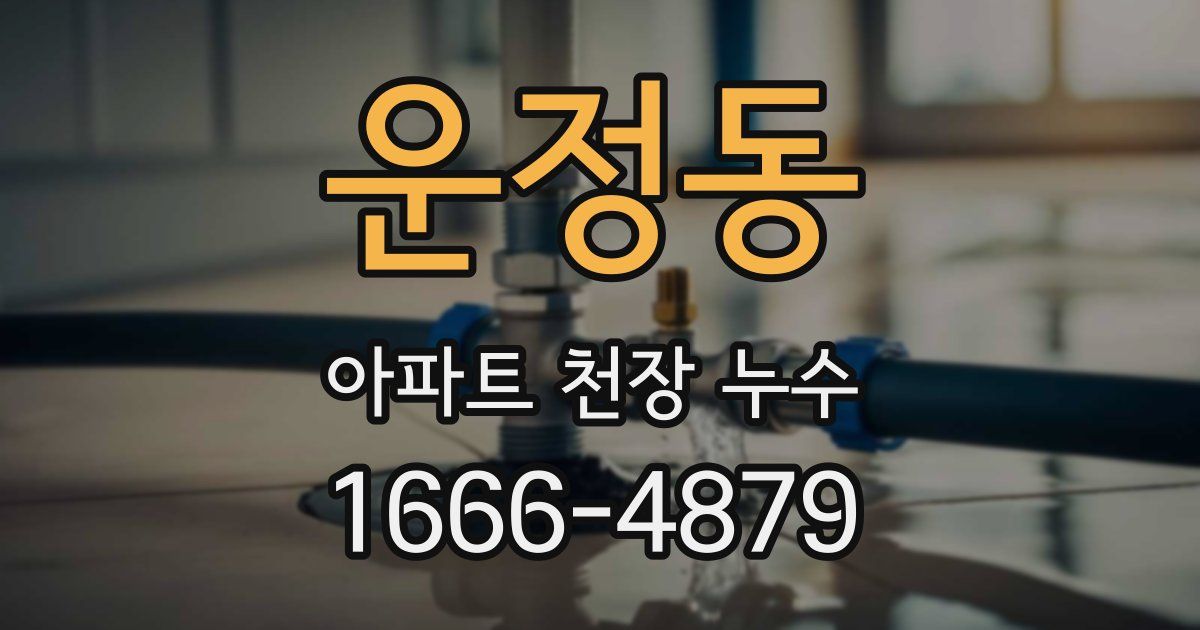 운정동 아파트 천장 누수