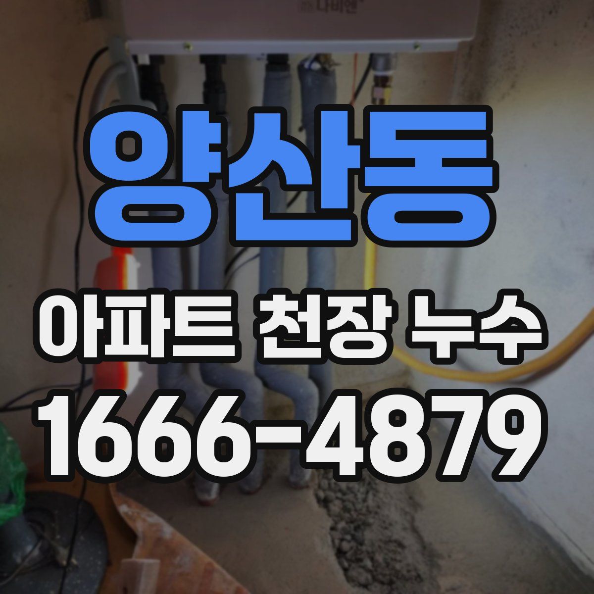 양산동 아파트 천장 누수