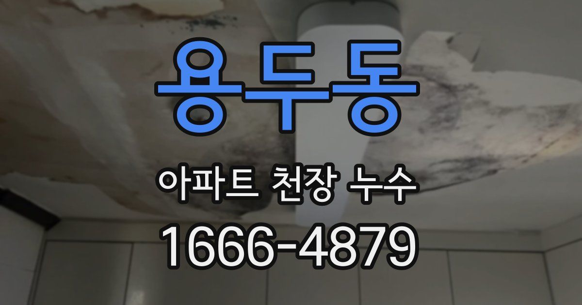 용두동 아파트 천장 누수