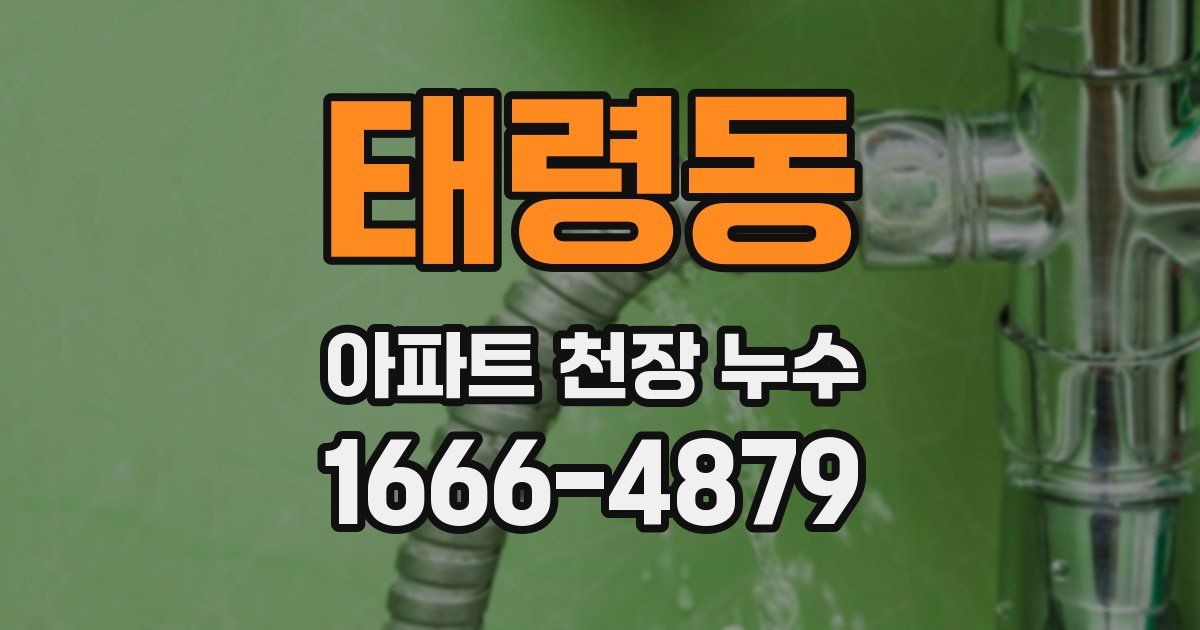 태령동 아파트 천장 누수