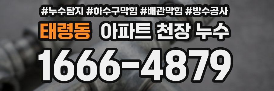 태령동 아파트 천장 누수
