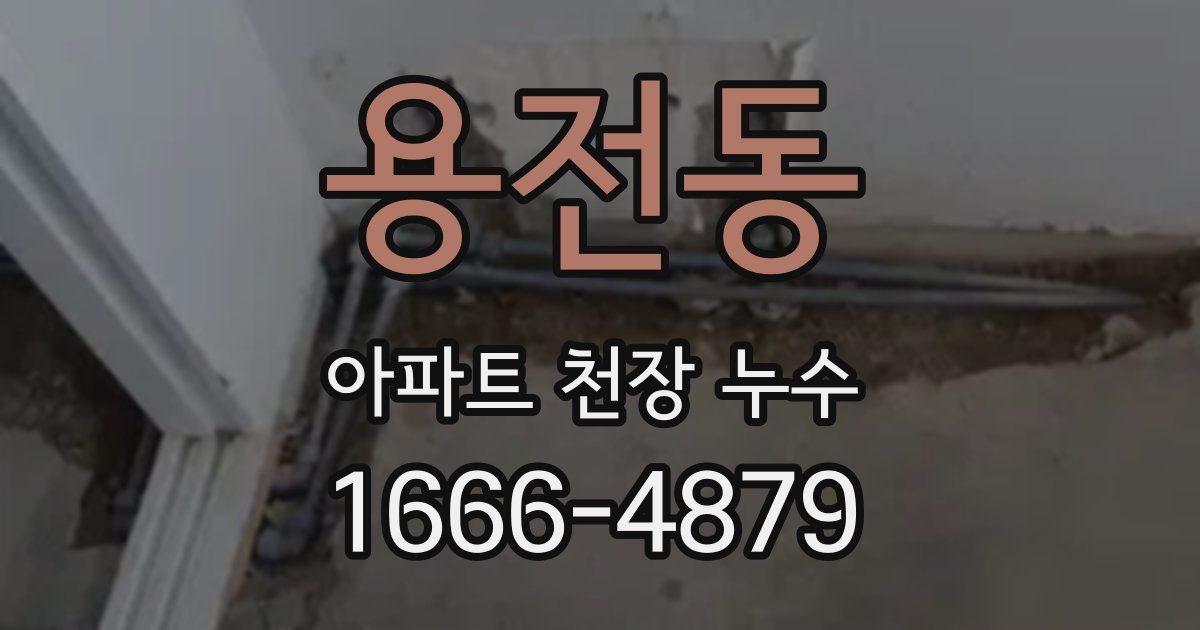 용전동 아파트 천장 누수