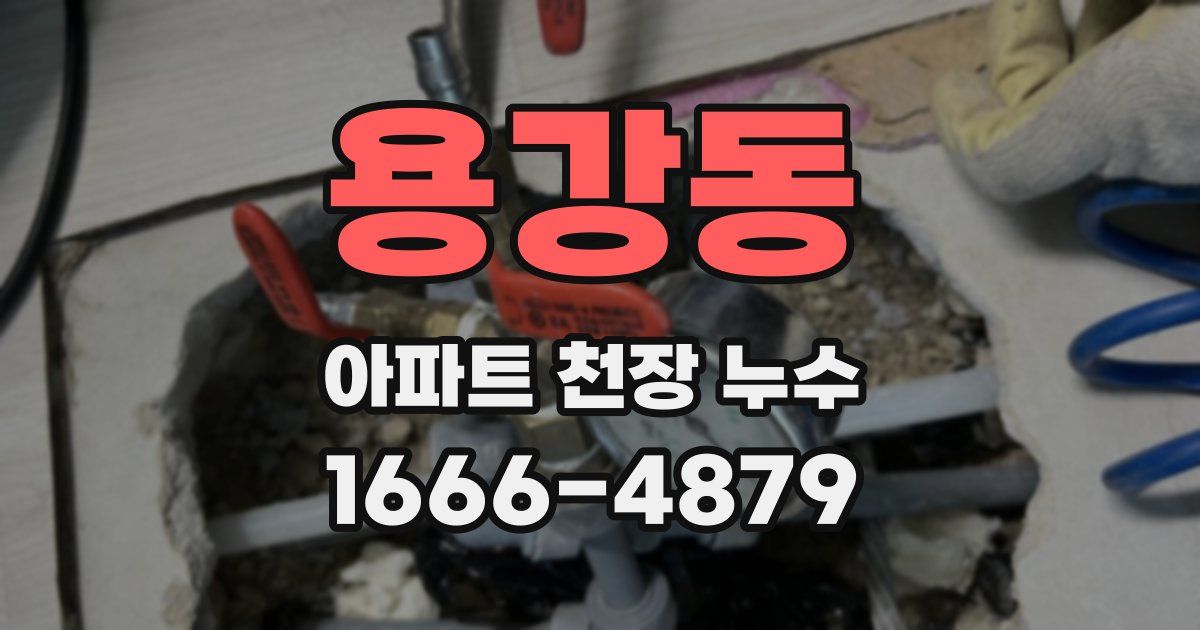 용강동 아파트 천장 누수