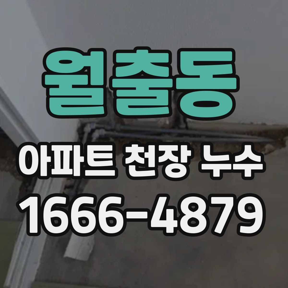 월출동 아파트 천장 누수