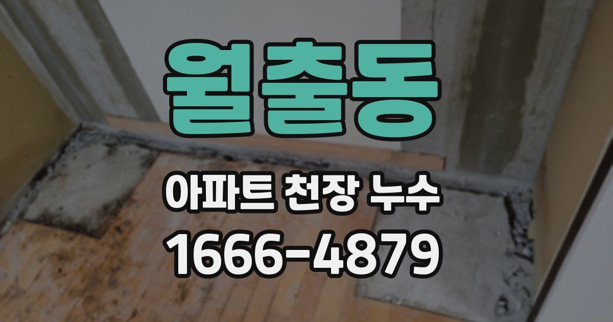 월출동 아파트 천장 누수