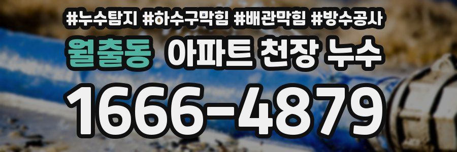 월출동 아파트 천장 누수