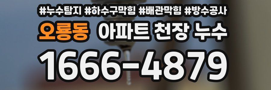 오룡동 아파트 천장 누수