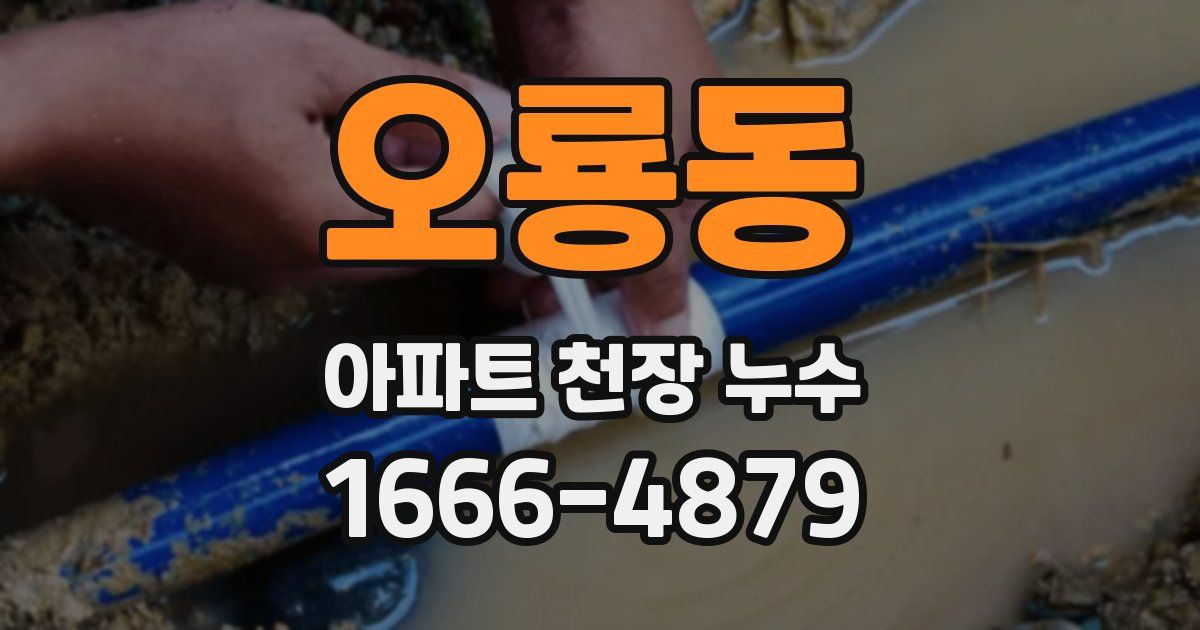 오룡동 아파트 천장 누수