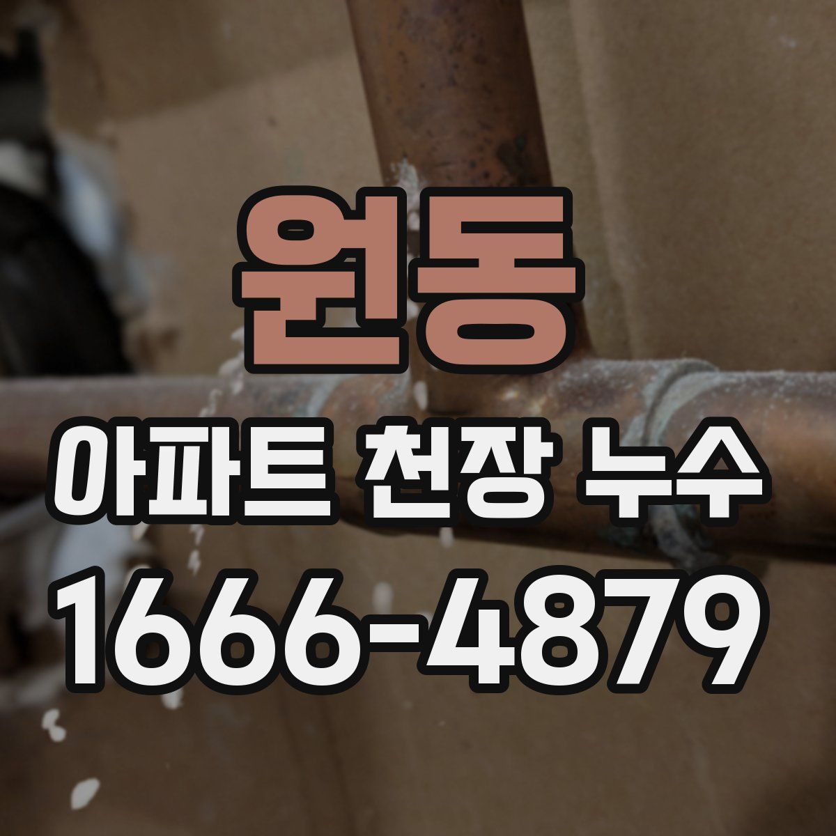 원동 아파트 천장 누수