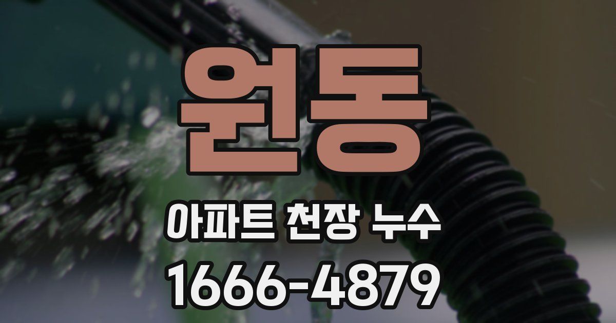 원동 아파트 천장 누수