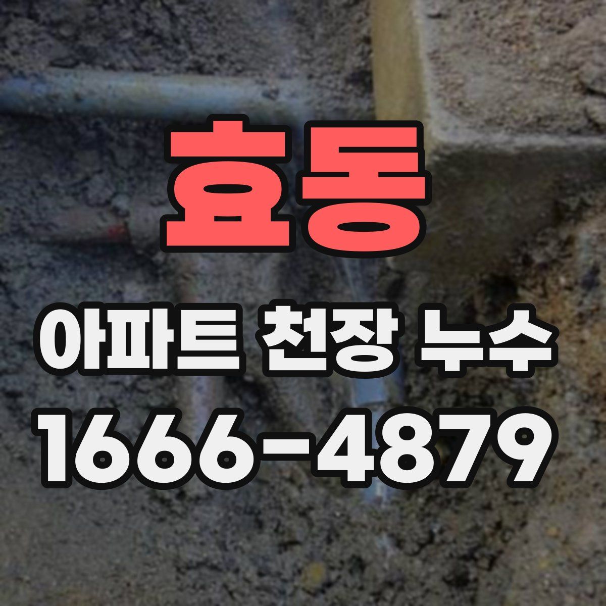 효동 아파트 천장 누수