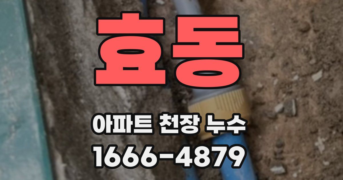효동 아파트 천장 누수