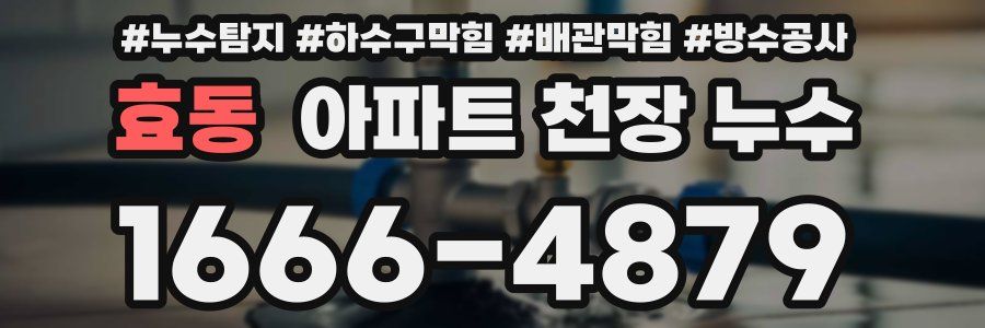 효동 아파트 천장 누수