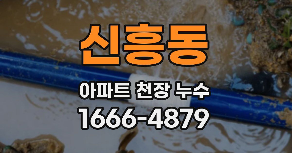 신흥동 아파트 천장 누수