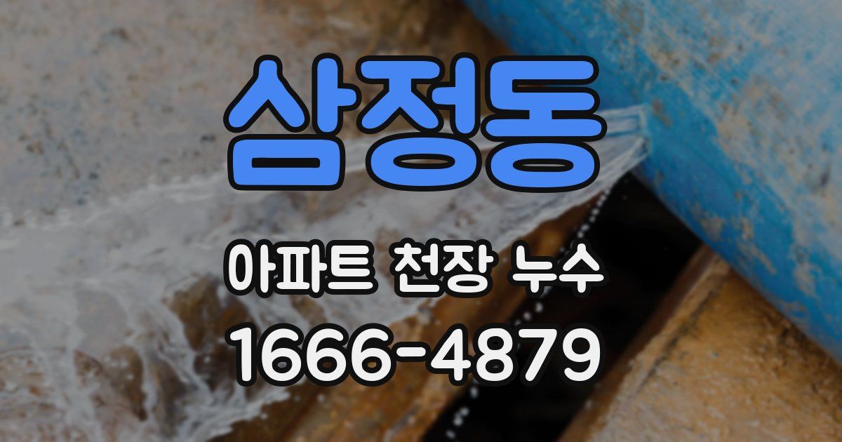 삼정동 아파트 천장 누수